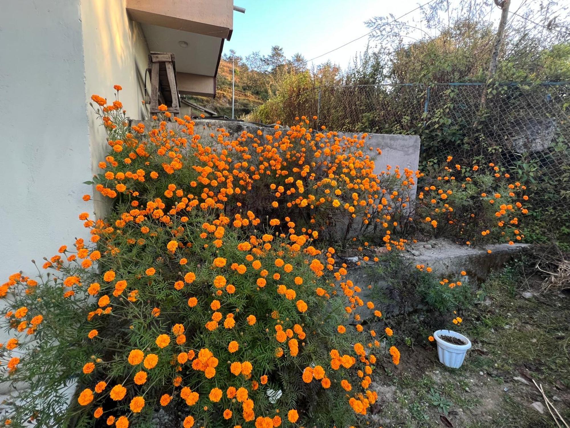 Hotel Village View Nagarkot Εξωτερικό φωτογραφία